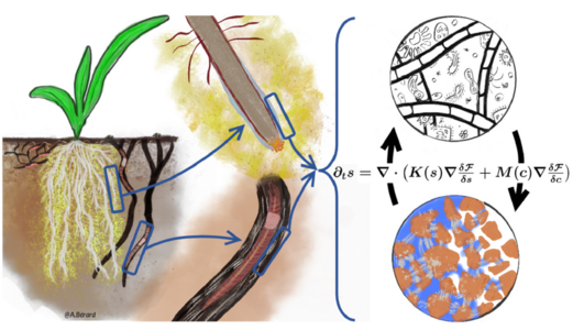 Illustration des différents acteurs biologiques du sol (racines, invertébrés, communautés microbiennes) capables d'exsuder des EPS, qui peuvent modifier les propriétés de transfert et de rétention d'eau des sols. À droite : équation du transport de l'eau dans le sol, tenant compte des effets de mouillabilité dus aux EPS exsudés par les organismes édaphiques et les racines (Cajot et al., 2025a).