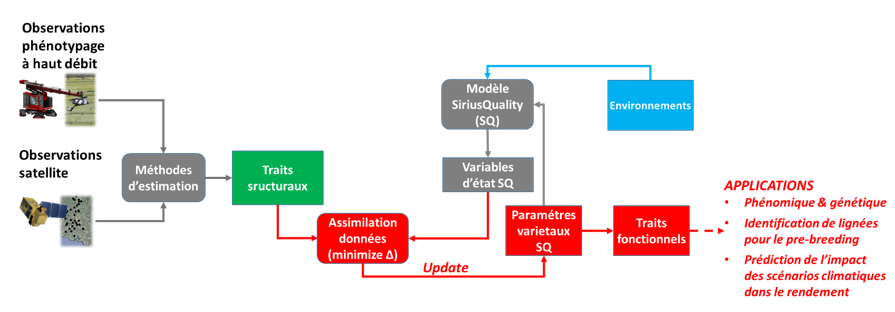 FFASR_Scheme