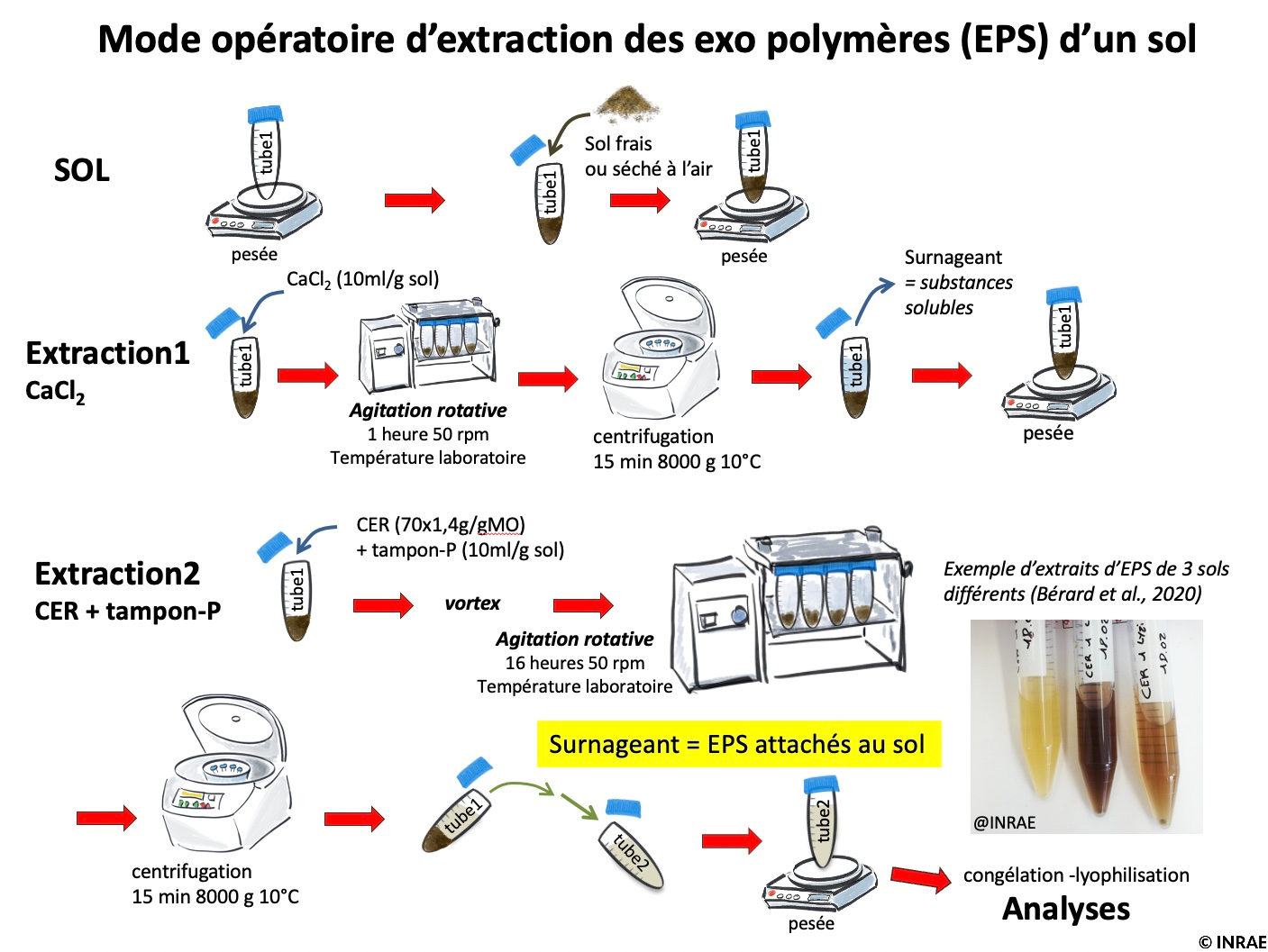 Illustration méthodo-extraction EPS du sol