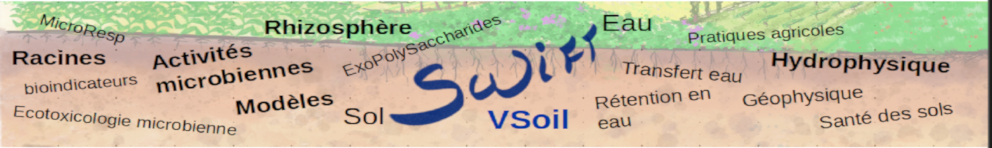 Bandeau équipe SWIFT : illustration sol, racine et mots clés de l'équipe