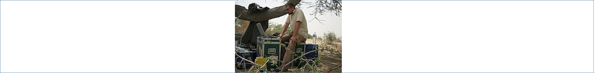 Photo de CHALIKAKIS  Konstantinos