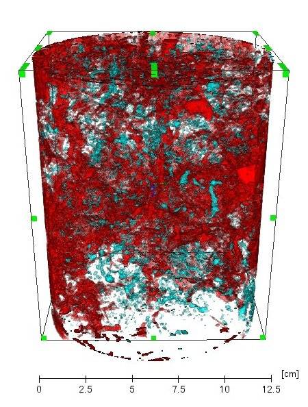 Image représentant la econstruction 3D du réseau percolant en rouge dans une colonne de sol structuré, à partie une acquisition en tomographie RX