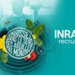 Logo inrae recrute