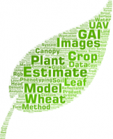 WordCloud CAPTE