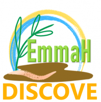 Logo équipe Discove, Discove est écrit en différentes couleurs