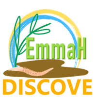 DISCOVE_fond transparent.png