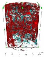 Image de reconstruction 3D du réseau percolant en rouge dans une colonne de sol structuré, à partie une acquisition en tomographie RX. (Lissy, 2018)