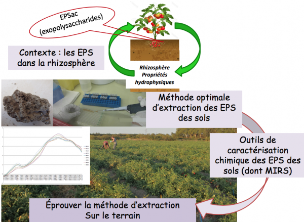 Schéma présentant le contexte et design du projet EPS-TERSYS