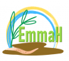logo_emmah