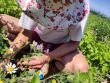 Photo de Fabienne Boivin dans les champs