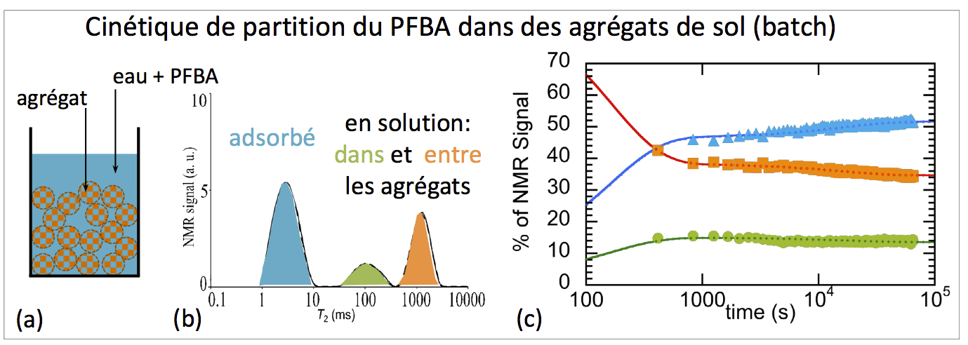 Figure 2. A gauche: schéma d'une expérience d'adsorption en batch. Au milieu: la RMN du fluor permet d'identifier le PFBA dans trois environnements différents. A droite: variations du pourcentage de PFBA dans chaque compartiment: expérience (symboles) et modèles (lignes)