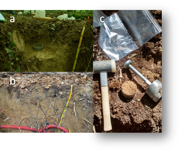 Identification et modélisation des propriétés et processus de transport d'eau dans le sol et du prélèvement hydrominéral des plantes.